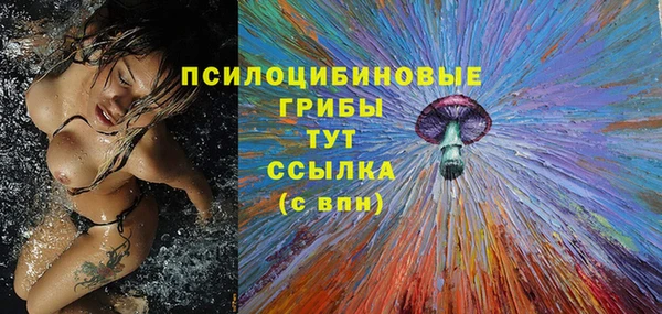 прущая мука Бородино
