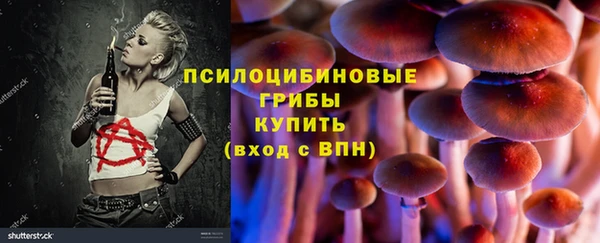 прущая мука Бородино