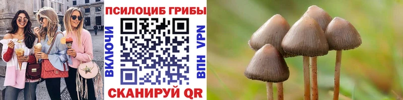 Галлюциногенные грибы ЛСД  Купить закладки  Сорочинск 
