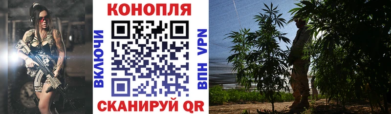 Канабис гибрид  Купить закладки  Сорочинск 